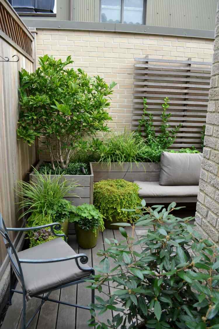 växter-graeser-balkong-kruka-bänk-träd-planter