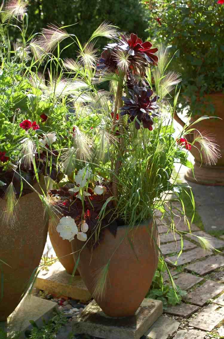växter-graeser-maehne-korn-öron-lera-blomkruka-medelhavsblommor