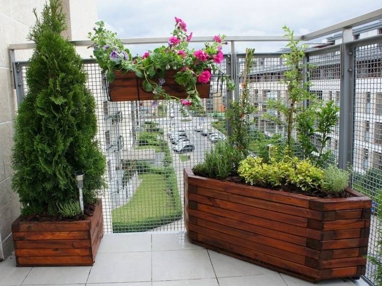 trädgård-balkong-trä-upphöjda säng-planter-barrträd