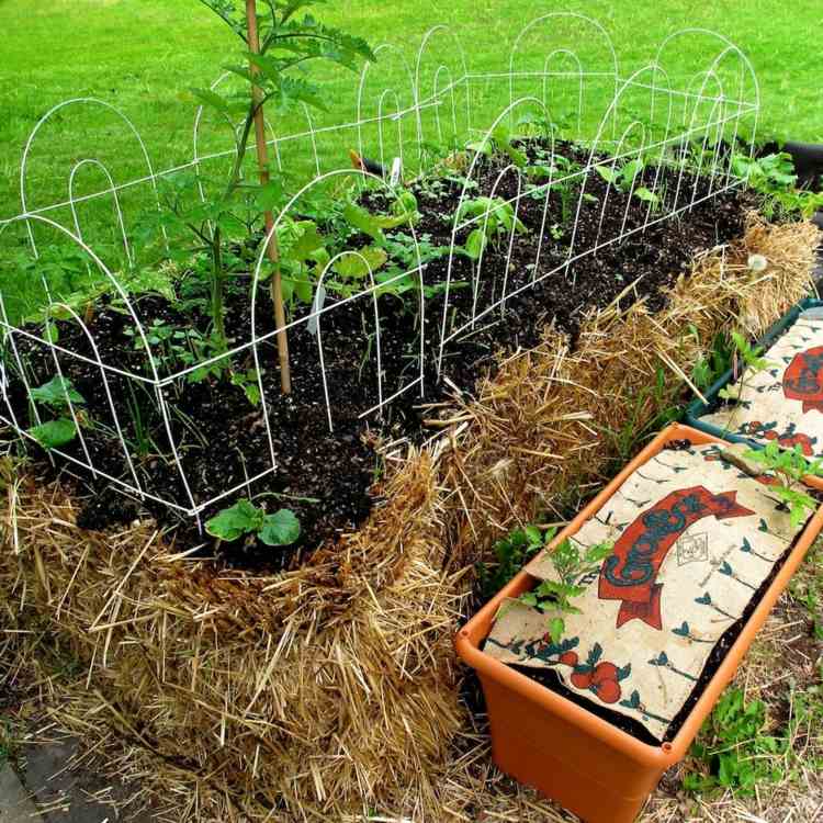Trädgårdsskötsel på balar av halmgryta jord-plantering-säng-kant-halm