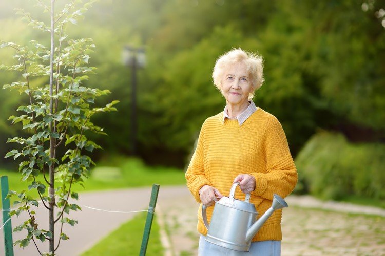 Trädgårdsskötsel gör dig frisk Trädgårdsterapi för demenspatienter