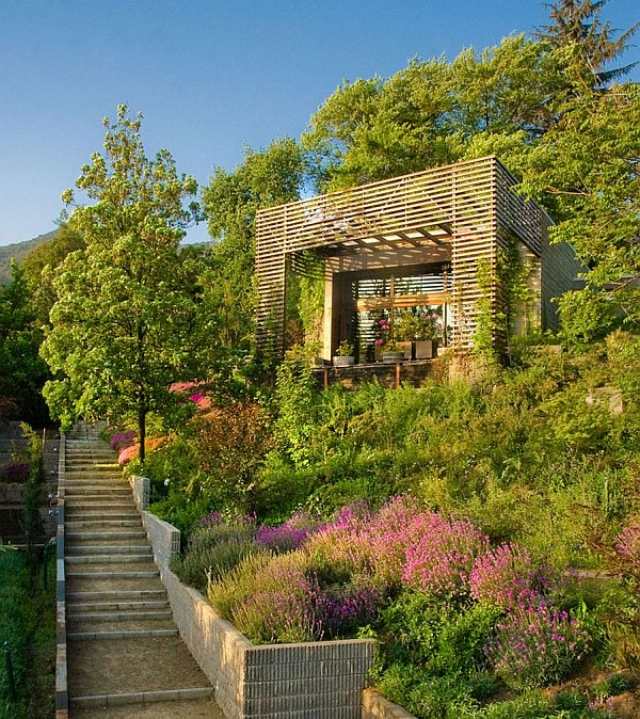Designa idéer sluttning trädgård trappor väg exotiska växter