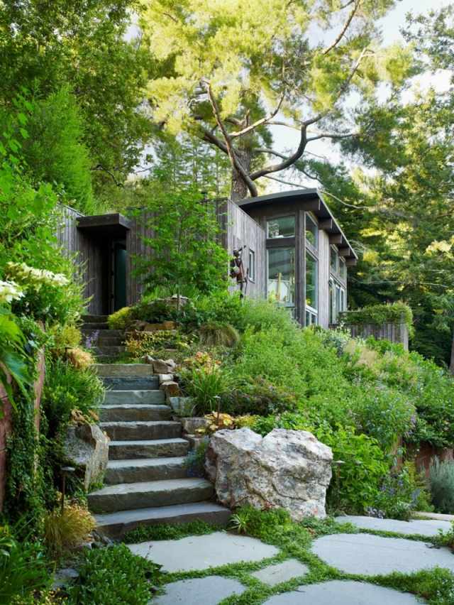 Hus i skogen bygga designidéer trappor sten igenväxta med växter