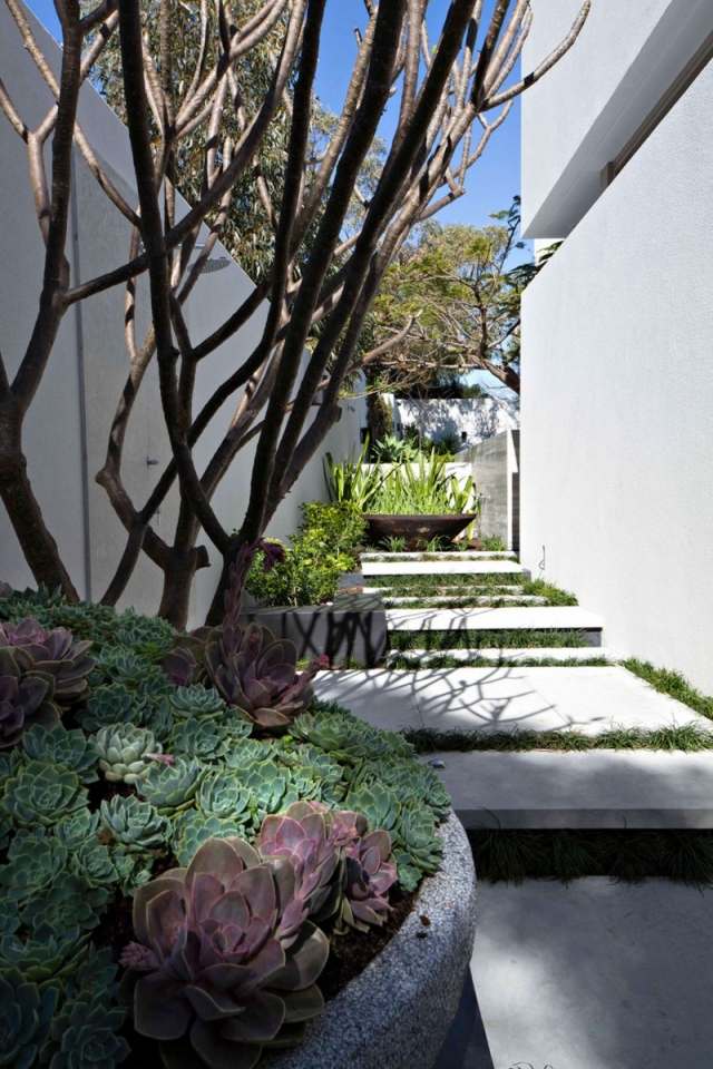 Trädgårdsdesign, rabatter, betong, trappstenar, arkitekthus