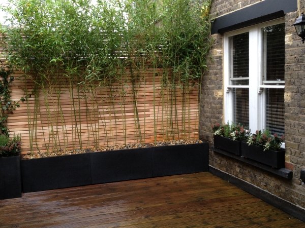 Bambu sekretess skärm idéer trädgård terrass