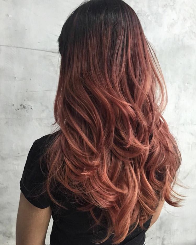 Rose Brown Ombre Hair Coloring Instructions Tips Long Hair