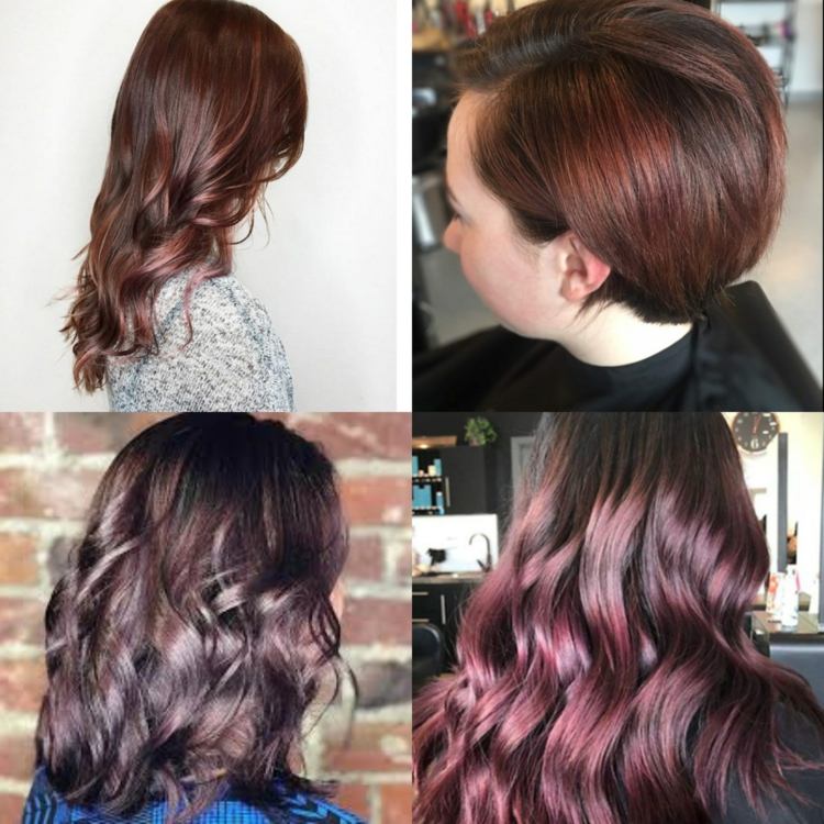 Rose Brown Hair Ombre Coloring Yourself Instructions Frisyridéer Dam Kort hår