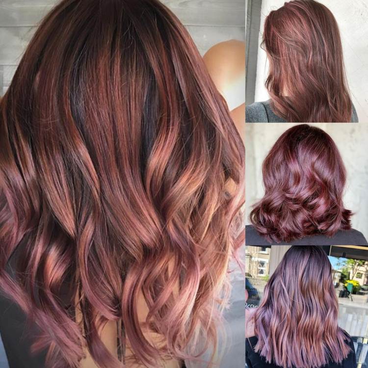 Rosebrun hårfärg lila ombre balayage markerar frisyrer brunetter