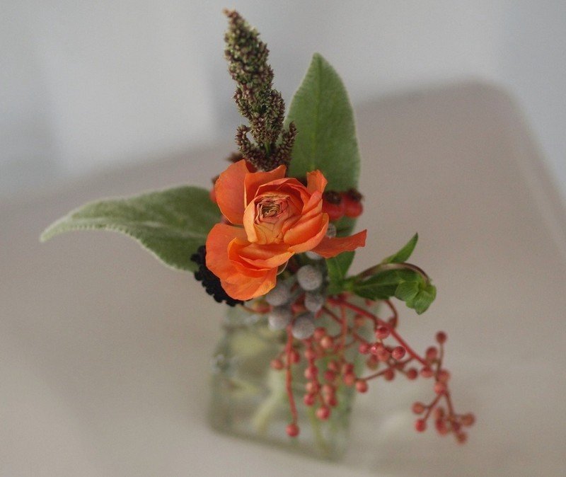 Nypon-dekoration-blomsterarrangemang-färsk-original