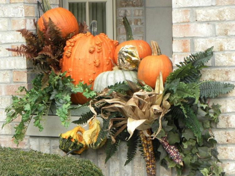 idéer halloween dekoration fönsterarrangemang pumpor växter höstig