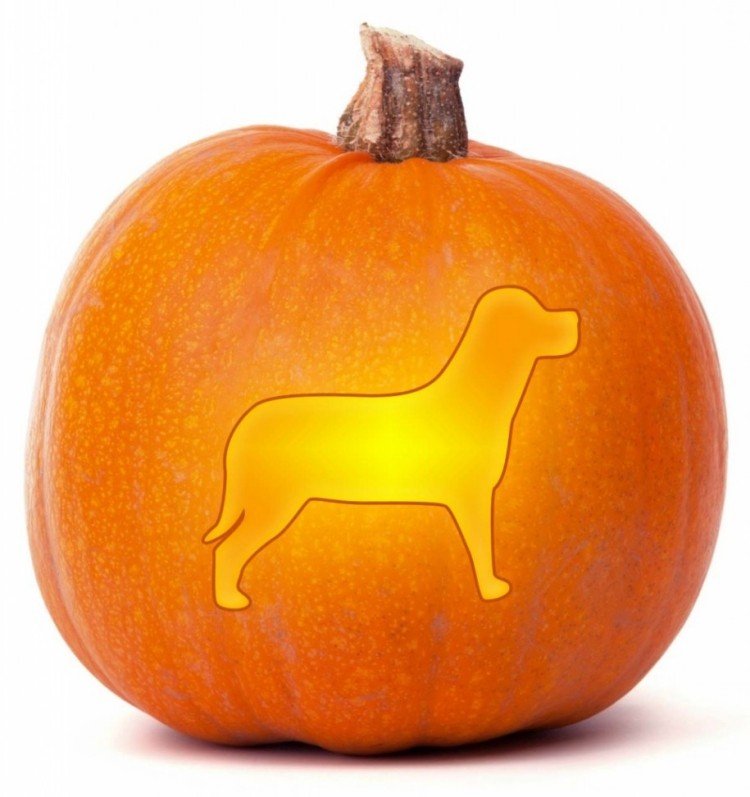 Halloween pumpa carving -mallar-hund-cut-out-form-kex form