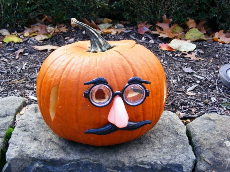 halloween-kantsten-carving-mallar-roliga-ansikte-glasögon-näsa-mustasch