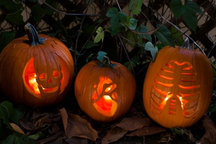 halloween-kantsten-carving-mall-skalle-skelett-ben