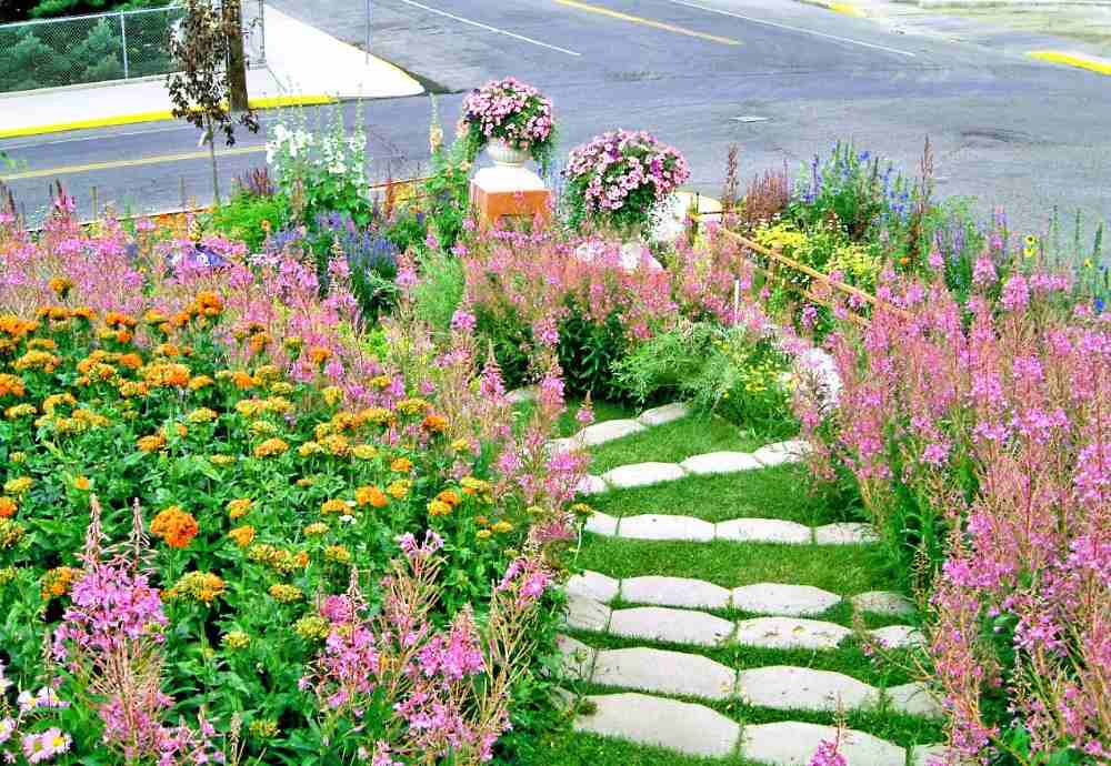 optimera trädgården nära gatan med sluttning av gräsmatta och trappor omgiven av blommor