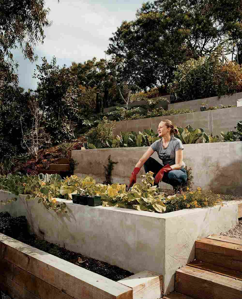 Skapa en grönsaksträdgård i sluttningen genom att terrassera med betong och trä