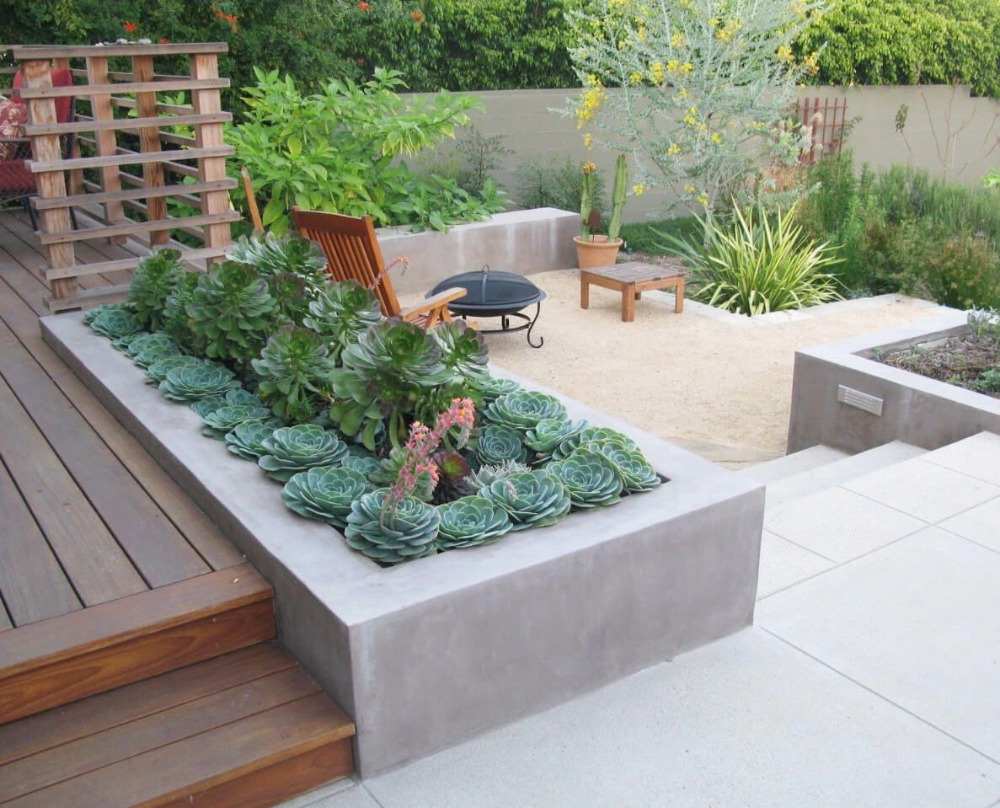 brant trädgård med succulenter och betongplattor i kombination med modernt trä