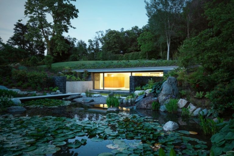 husodling som en pool damm gräsmatta tak modern design
