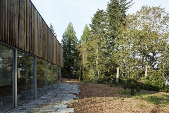 arkitektur glasdörr lämnar reflektion natur omgiven