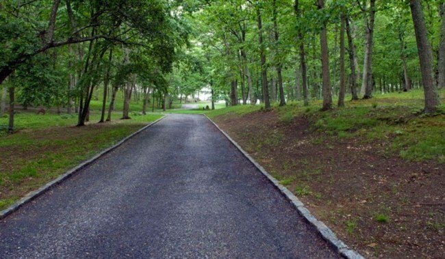 vackert landskap skog uppfart sätt