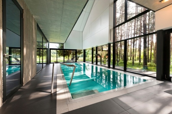 stålhus i trä utseende modern design pool