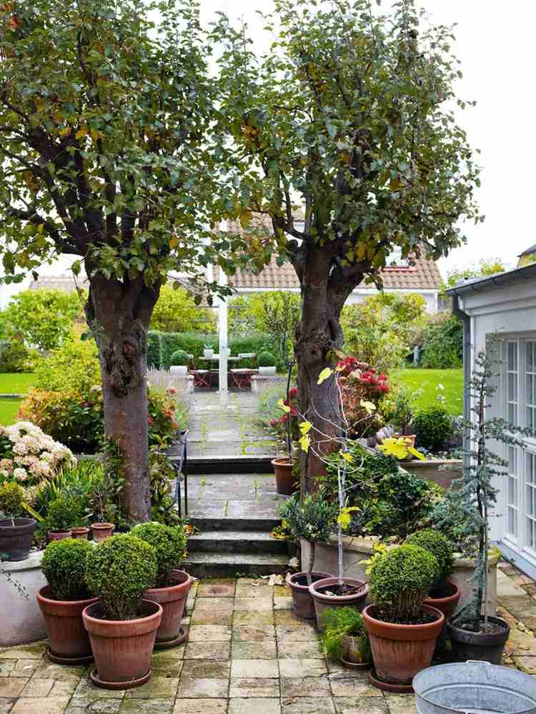 trädgård stig terrass växter träd hus design sittgrupp