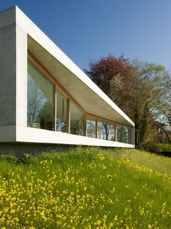 Drömhus Schweiz-intressant fasaddesign