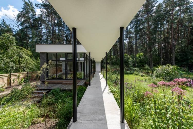 bygga ett hus med ett glasfält mitt i naturen