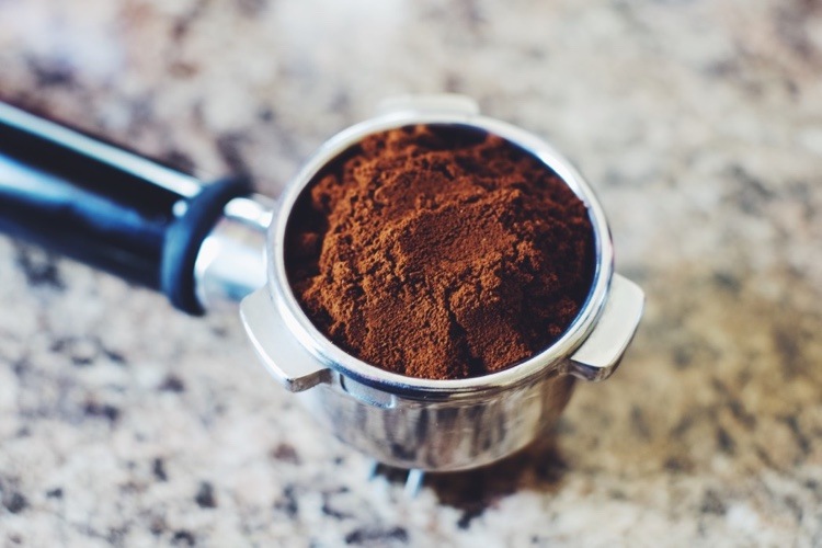 Använd kaffegryn för att bekämpa svampmugg