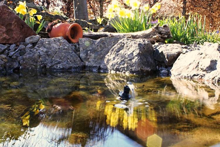Installera vattenfunktioner i trädgårdsdammen mot myggor och mygg