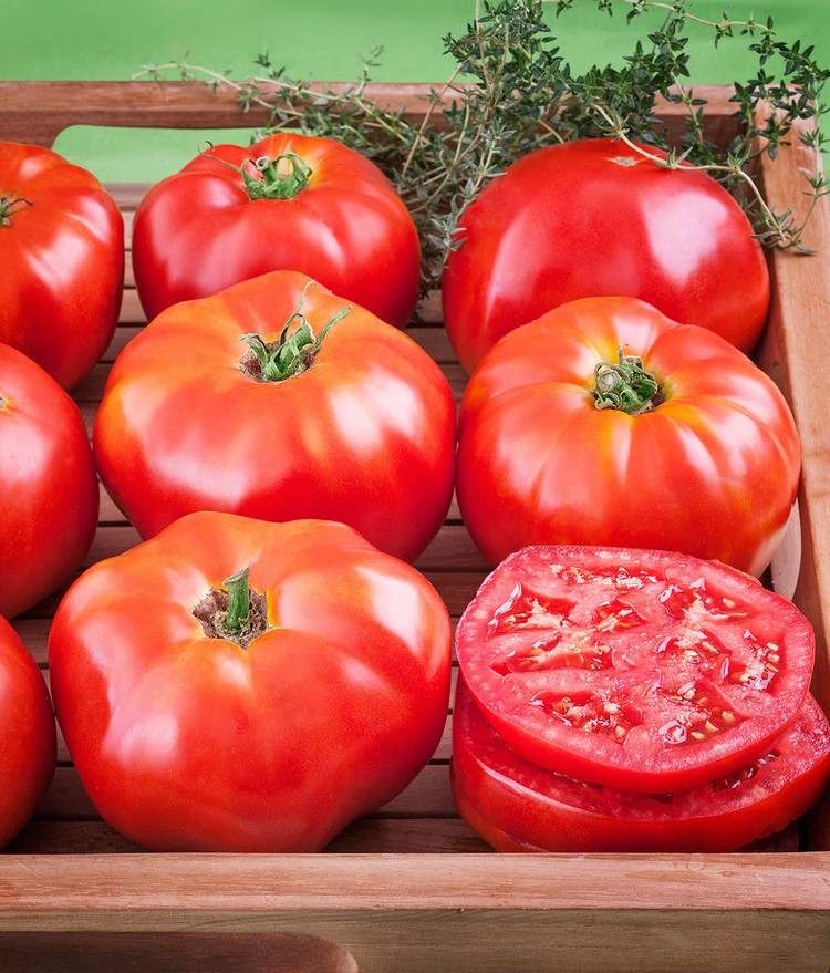 huskurer för solbrända tomatskivor