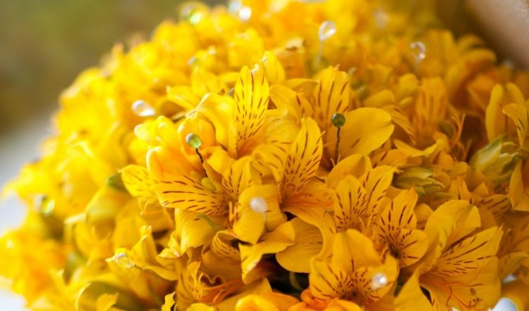bröllop-blommor-idéer-incal-lilja-november-bröllop-dekoration-gul-varm-färg