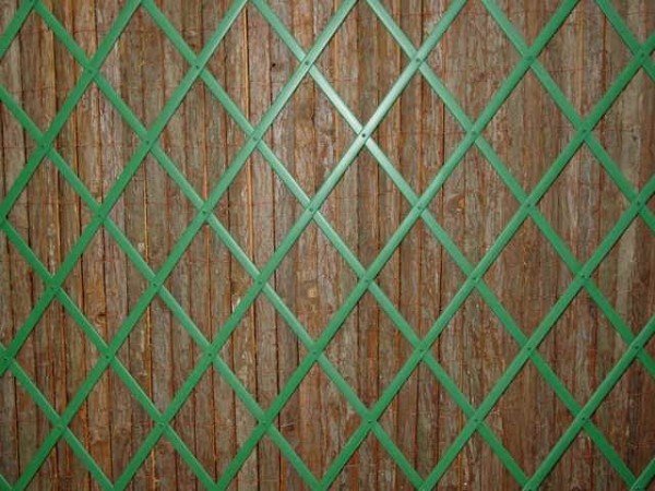 Galler-gjord-plast-grön-färg-på-väggen