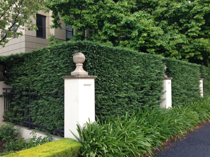 eleganta häckar design pelare buskar trädgårdsstaket