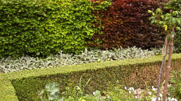 grönska inspiration integritetsskydd häck i trädgården färgglada
