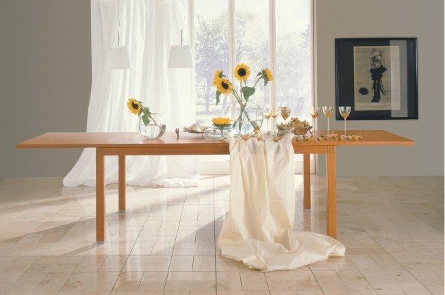 Ljust trä-för Möbel-Hülsta matsalsbord tydliga linjer