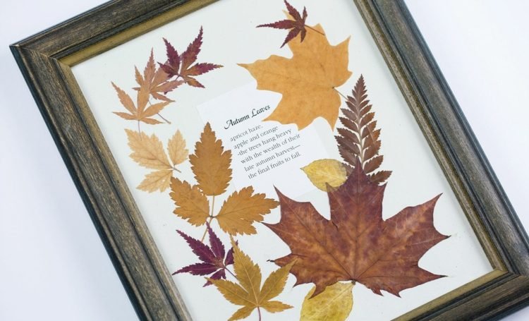 herbarium-skapa-väggmålning-design-höstlöv-väggdekoration