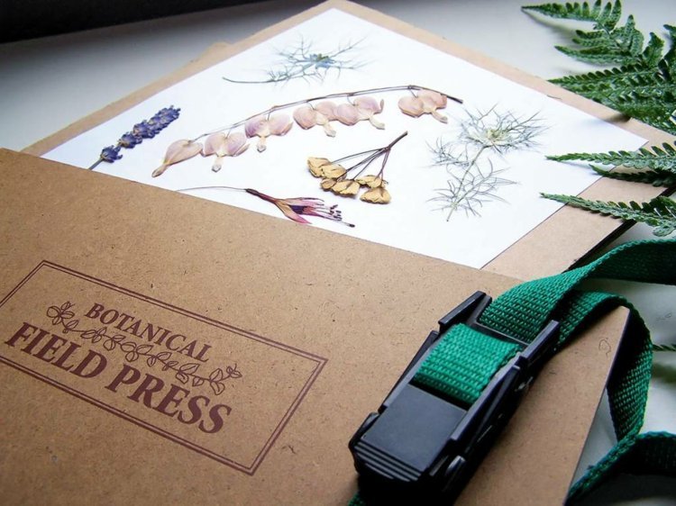 herbarium-skapa-album-samling-album-skapa-sorter-växter