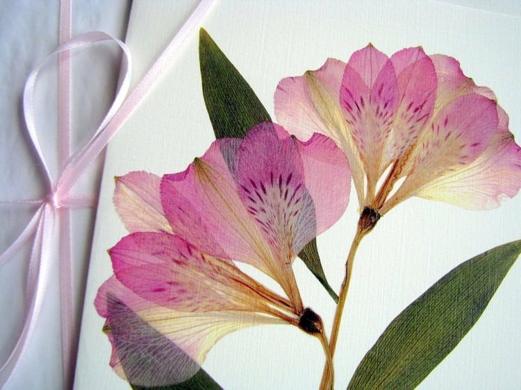 herbarium-skapa-hälsning-kort-tinker-riktiga-blommor-original