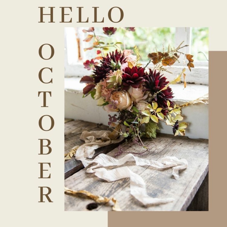 Välkommen oktober med ett kort - Hej oktober