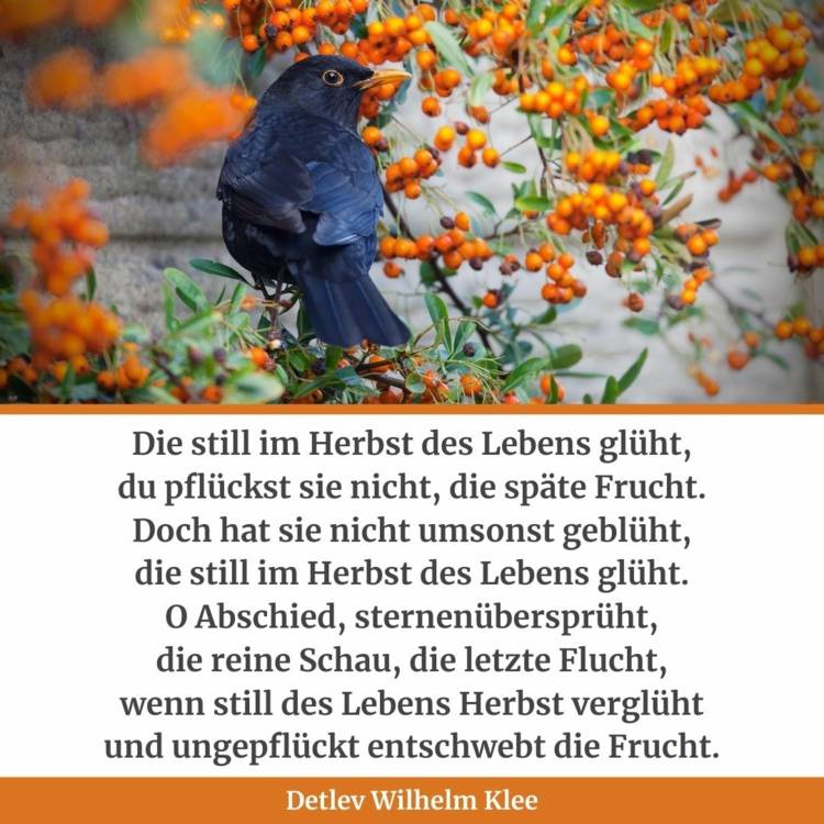 Fin dikt om den gyllene årstiden - höstverser av Detlev Klee