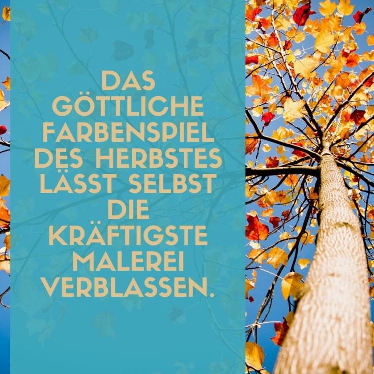 Höstens ordspråk - Det gudomliga färgspelet överträffar alla målningar