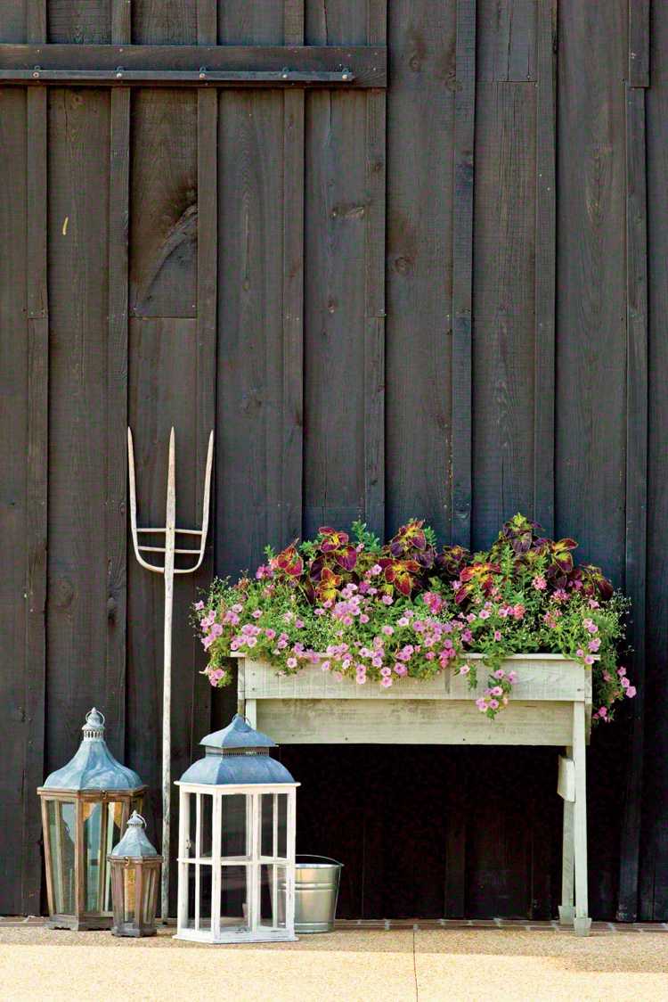 Idéer till blomlådor på hösten med höstblommor
