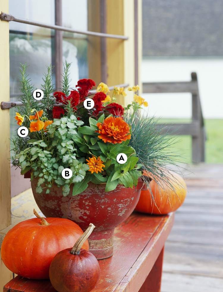 Höstplantering i krukor med höstblommor och dekorativa lövverk