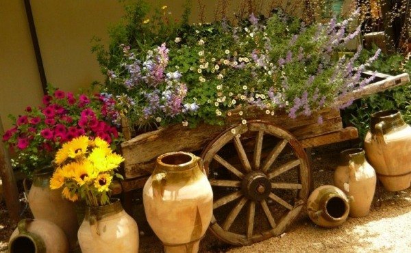 höstblommor vagn trädgård krukor solrosor