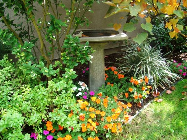 höstträdgård perenner träd buskar apelsinblommor