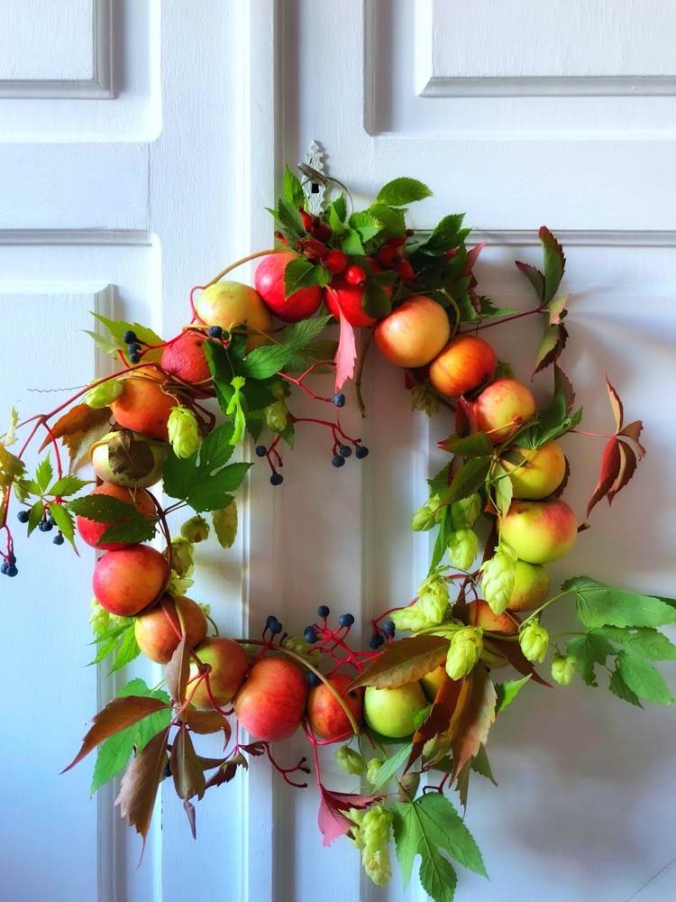 Dörrkrans av äpplen, vild vinrankor och humle på hösten