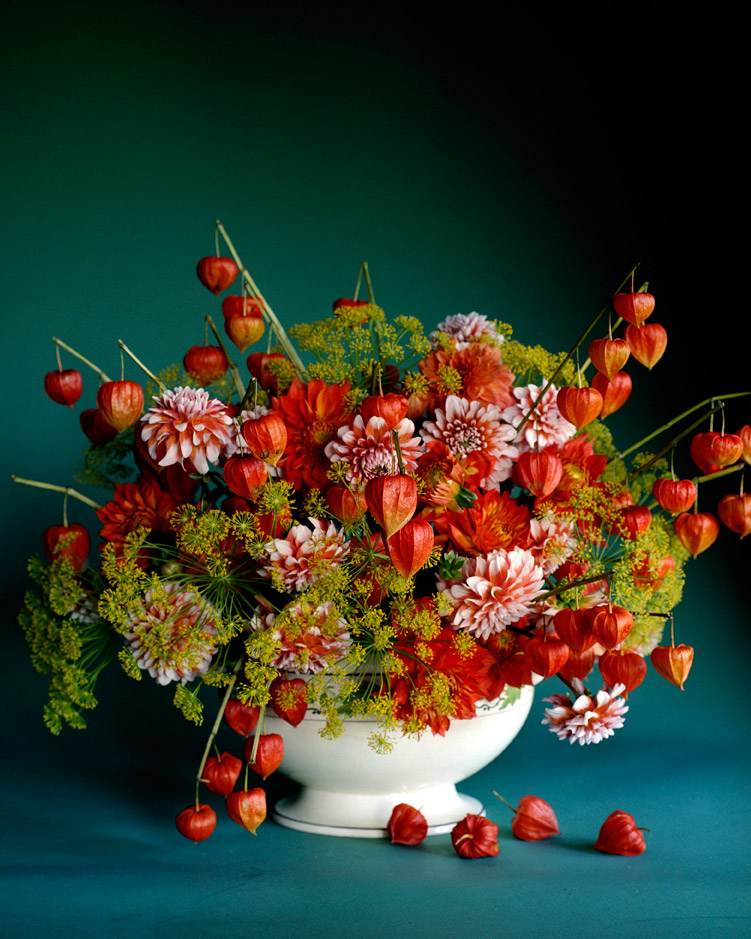 Höstbordsdekoration med randiga dahlior i orange och vitt och lyktblommor och dillblommor