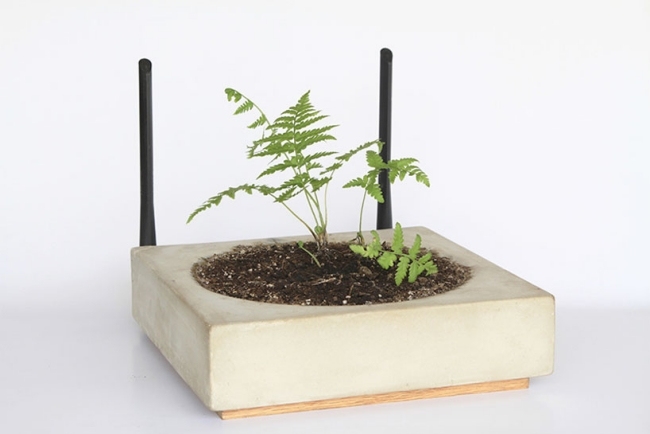 Lätt avtagbar Sam Kronick planter-tvättbar router-cybernetisk äng