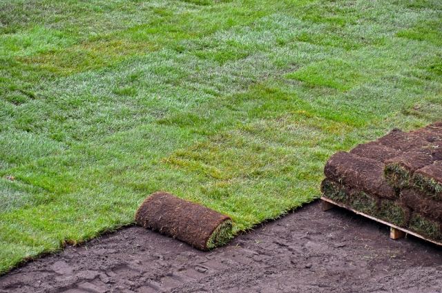 Lägga en gräsmatta-tips för allround markvård av platsen