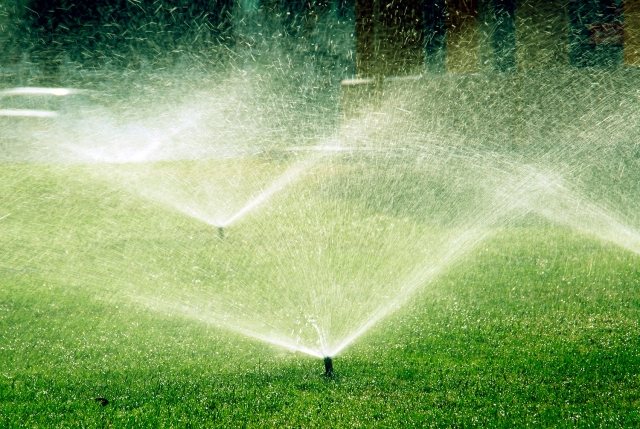 gräsmatta sprinkler tips ta hand om prydnadsgräsmattor vid vattning